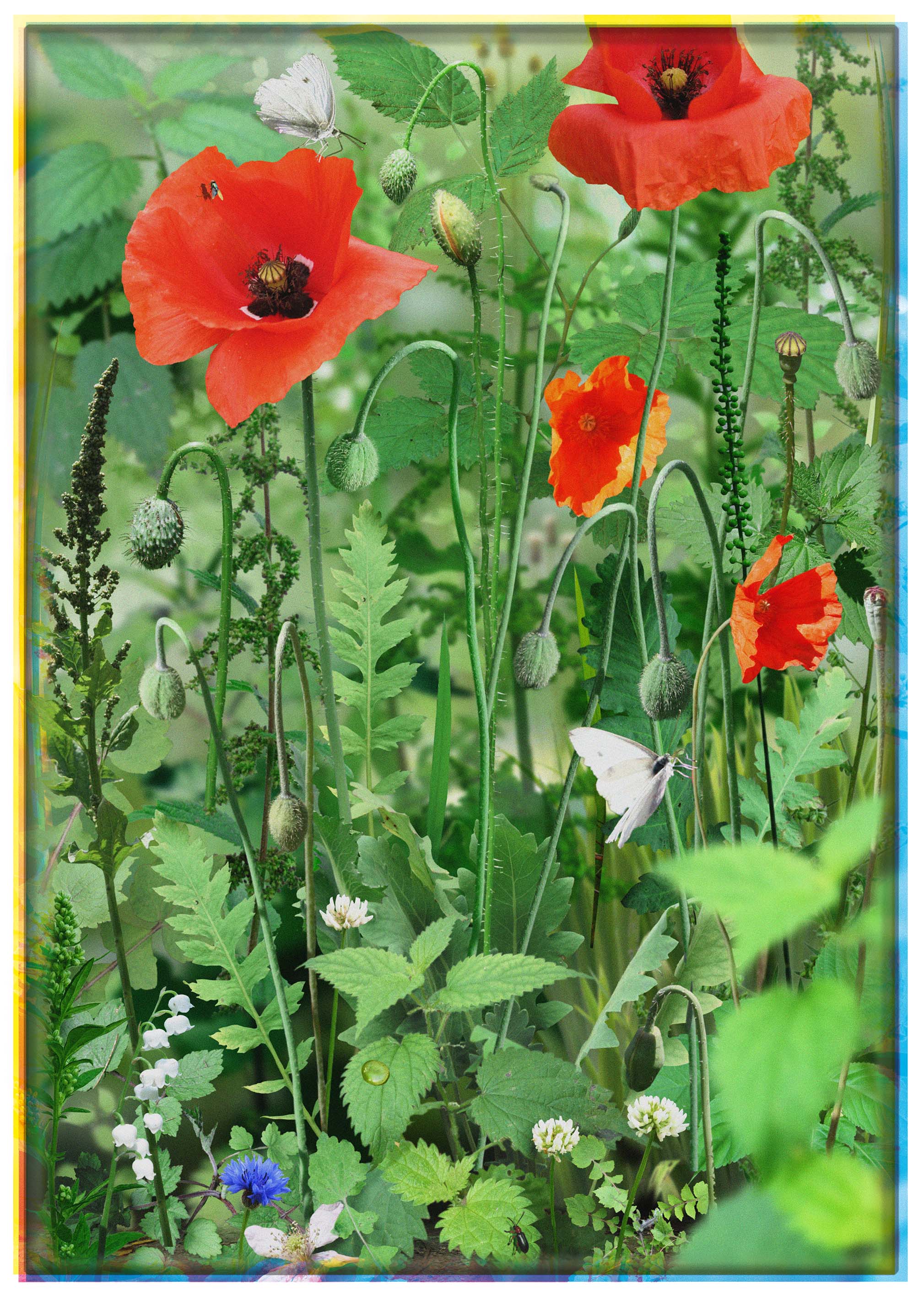 Ruud van Empel - Van Gogh #2 – Vincent van GoghHuis Zundert
